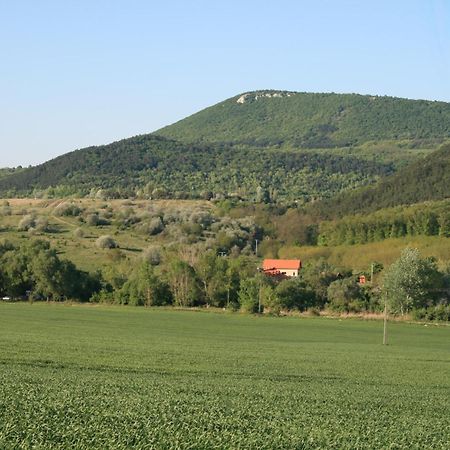 Malomdűlő Farmház Casa de hóspedes Pilisborosjenő Exterior foto