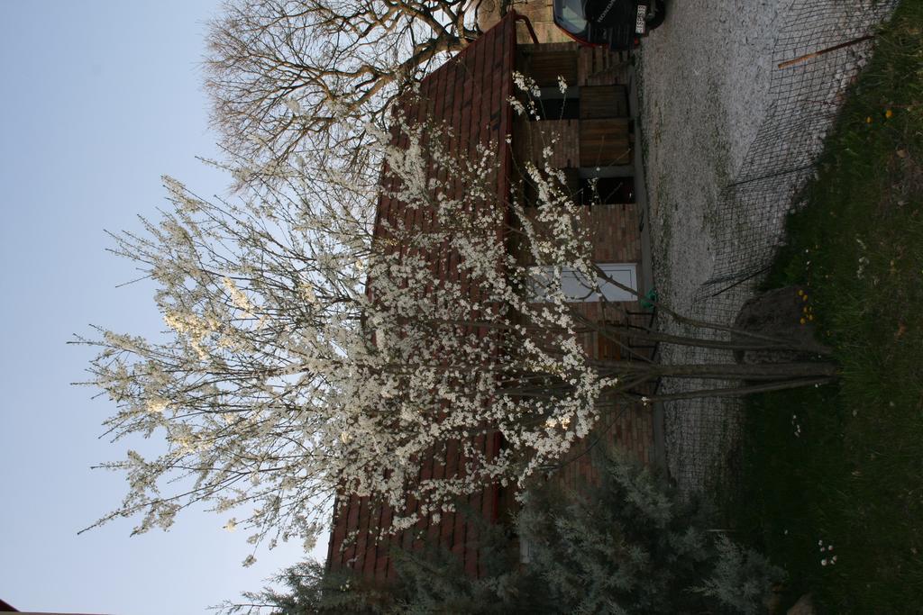 Malomdűlő Farmház Casa de hóspedes Pilisborosjenő Exterior foto
