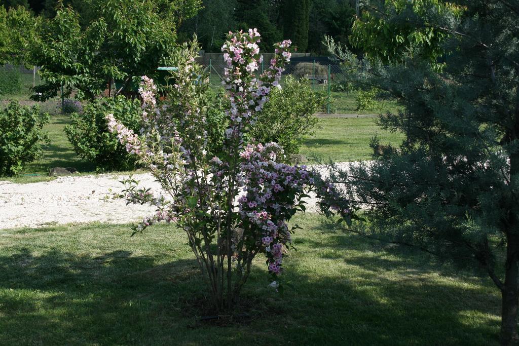 Malomdűlő Farmház Casa de hóspedes Pilisborosjenő Exterior foto